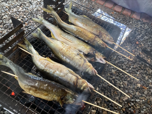 8_13夏の川魚！鮎を焼くの巻1-1-